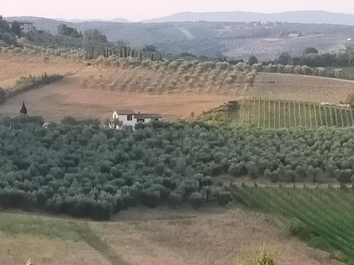 Villa Degli Olivi Nature Siena Buitenkant foto