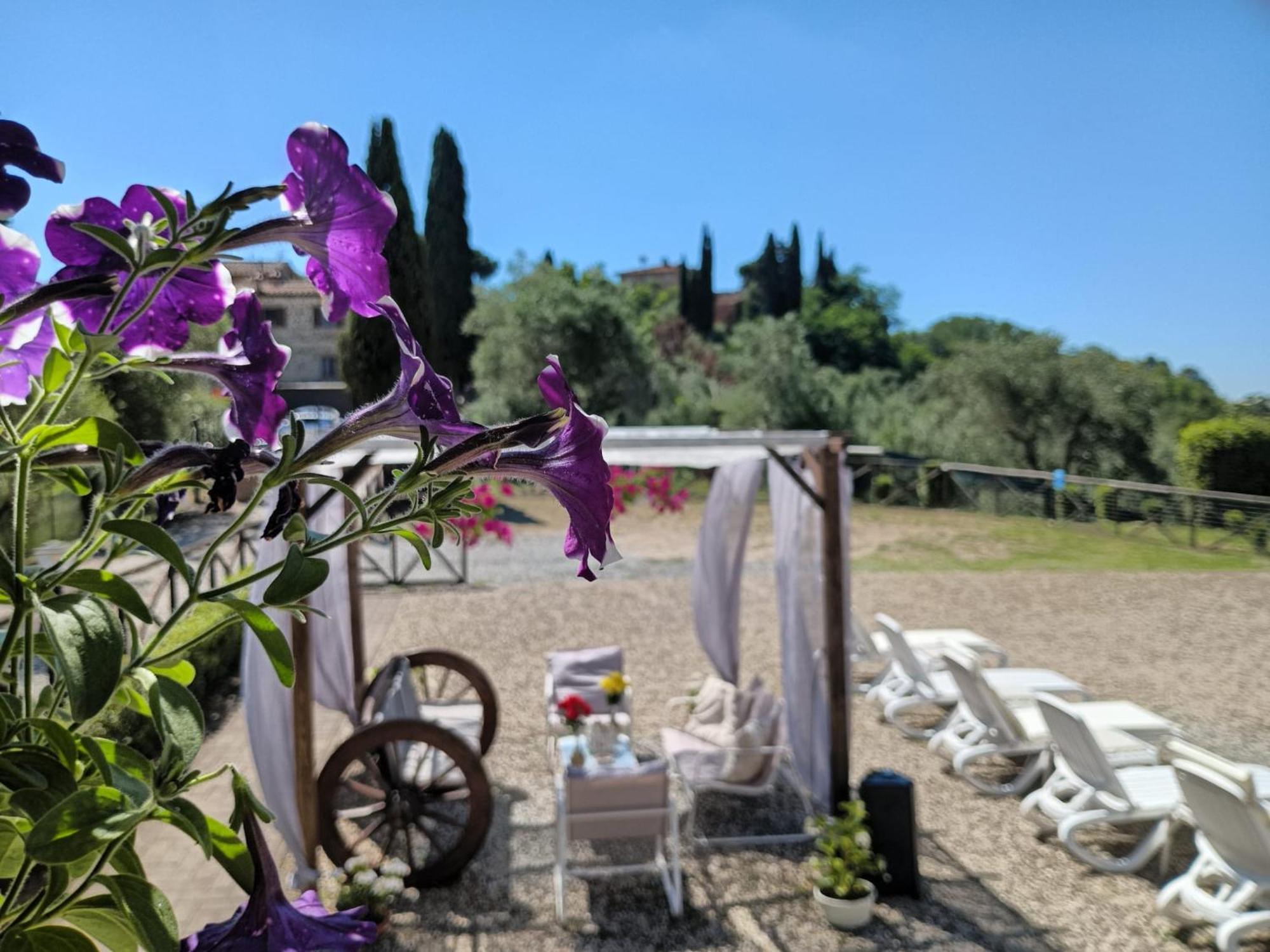 Villa Degli Olivi Nature Siena Buitenkant foto