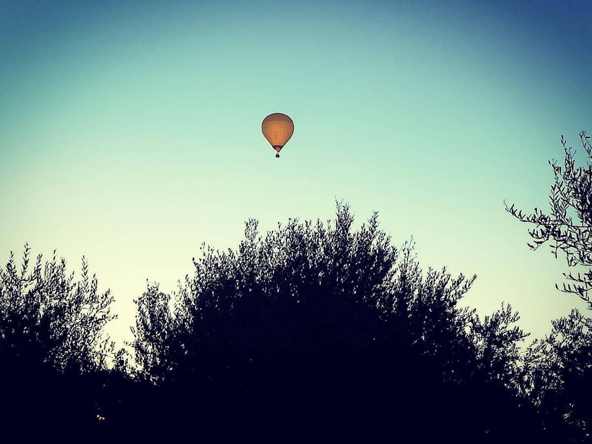 Villa Degli Olivi Nature Siena Buitenkant foto